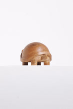 Load image into Gallery viewer, Turtle