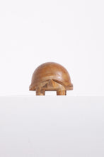Load image into Gallery viewer, Turtle