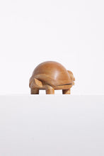Load image into Gallery viewer, Turtle