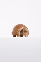 Load image into Gallery viewer, Turtle