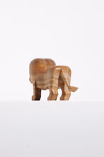 Load image into Gallery viewer, Lion