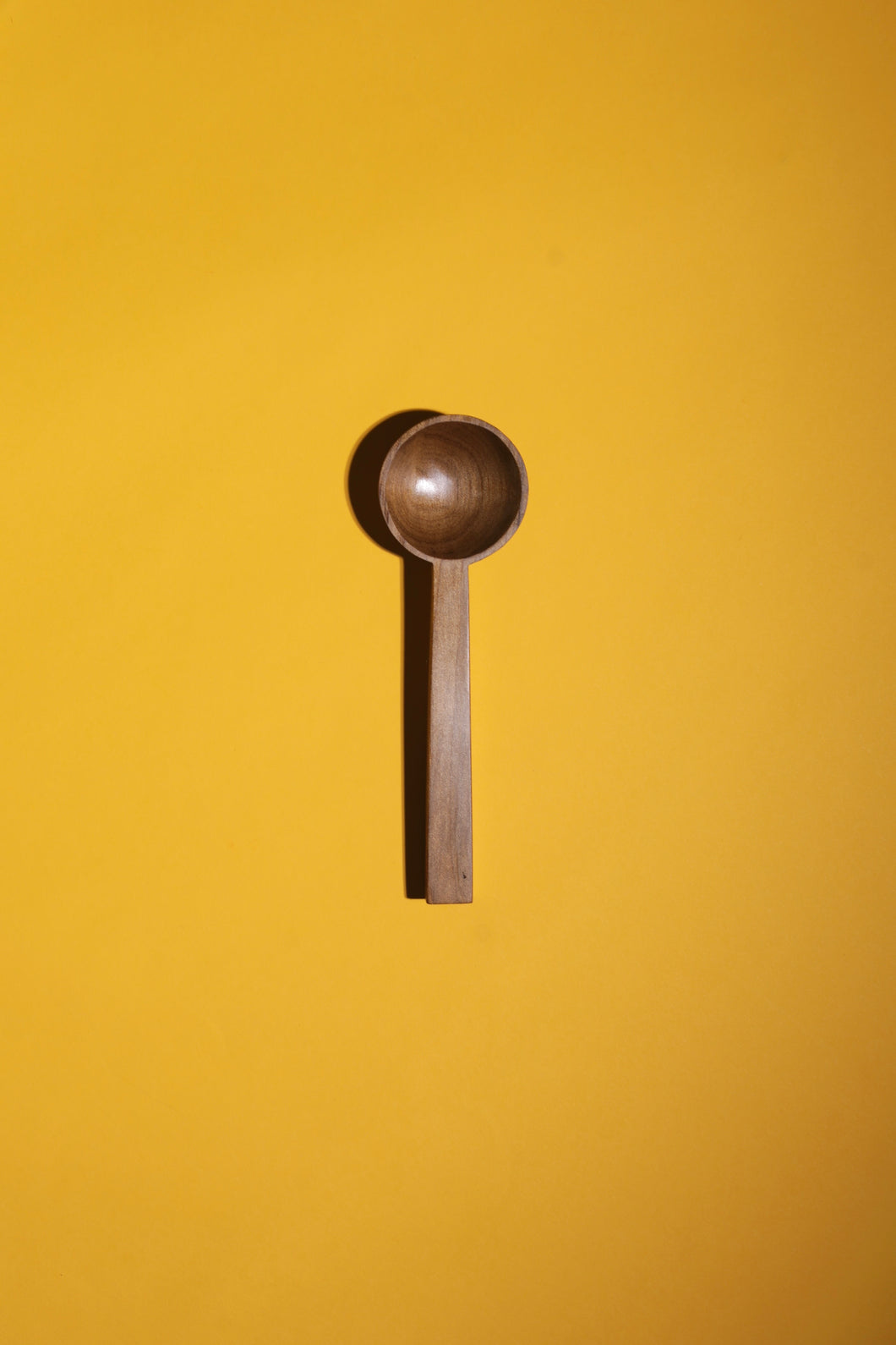 Coffee Scoop / Swamp Kauri 2