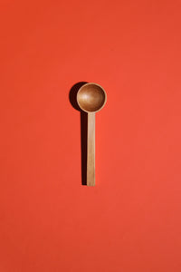 Coffee Scoop / Swamp Kauri 1