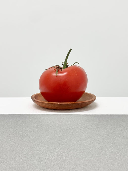 Swamp Kauri Dish Blank / 90mm Diameter